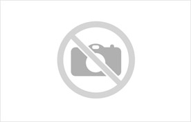 2 Vias chata parlante (1 macho - 1 hembra) FICHAS INYECTADAS